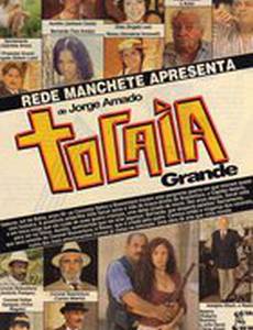 Большая засада