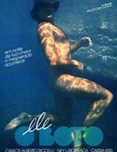 Он, дельфин