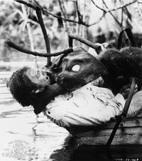 Кадр Империя муравьев