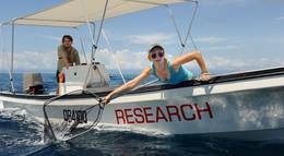 Кадр из фильма "Reef Doctors" - 1