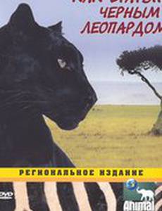 Animal Planet: Как стать...