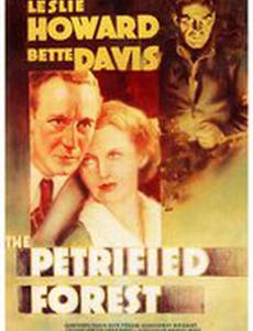 Окаменевший лес