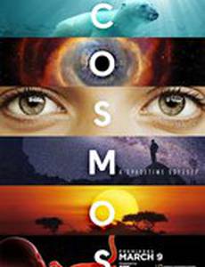 Космос: Пространство и время