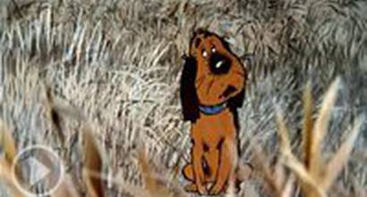 Мультфильм