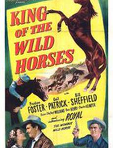 King of the Wild Horses