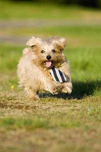 Кадр Одноклассницы