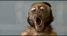 Кадр из фильма "Гибби" - 2