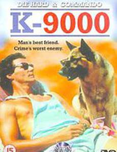 K 9000