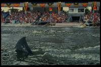 Кадр Челюсти 3