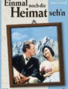 Еще раз увидеть Родину