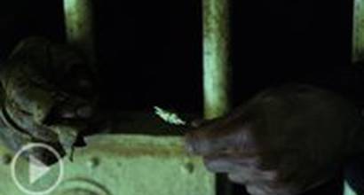 Фрагмент №6