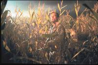 Кадр Ничего себе поездочка