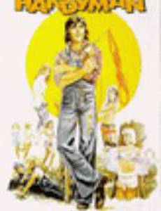 The Ups and Downs of a Handyman