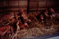 Кадр Космический полицейский участок