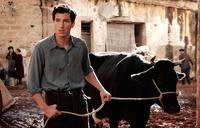 Кадр Баария