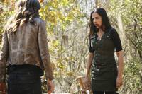 Кадр Древние