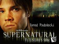 Постер Сверхъестественное