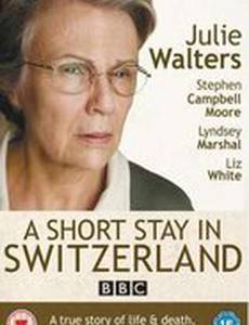 Остановка в Швейцарии