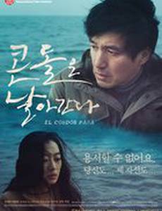 Полёт кондора