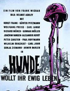 Собаки, хотите жить вечно?