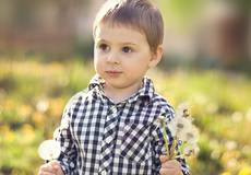 Кино из одуванчиков