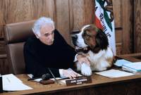 Кадр Как в старое доброе время