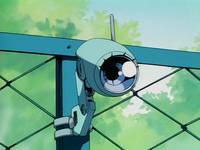 Кадр Моя дорогая Мари (видео)