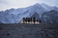 Кадр Долина цветов