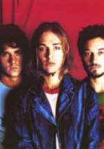 Сильверчеа фото