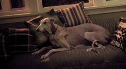 Кадр из фильма "Жизнь прекрасна" - 2