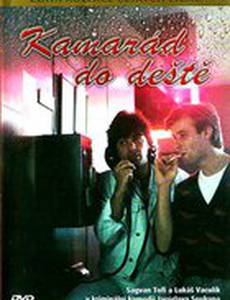 Друг в непогоду