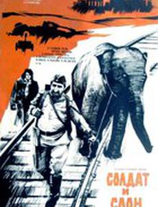 Солдат и слон