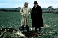 Кадр Все создания, большие и малые