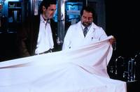 Кадр Аллигатор 2: Мутация