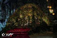 Кадр Белая лиса