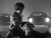 Кадр Франкенвини