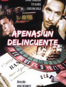 Apenas un delincuente