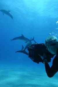 Кадр Большое путешествие вглубь океанов 3D