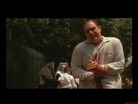 Кадр Славные парни