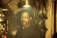 Кадр Девять жизней