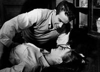 Кадр Великолепие в траве