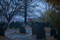 Кадр Повелители Салема