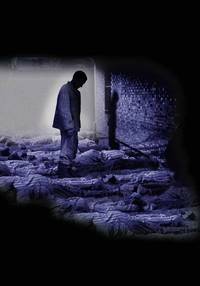 Постер Серая зона