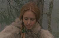 Кадр И на камнях растут деревья