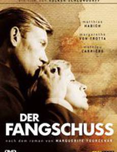 Выстрел из милосердия