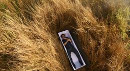 Кадр из фильма "Гроб" - 2