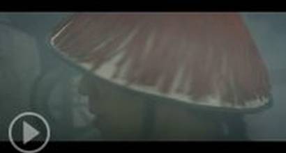 Фрагмент №5