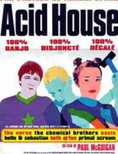 Кислотный дом