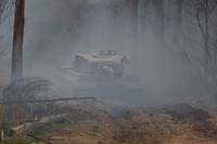 Кадр Белый тигр