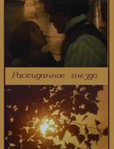 Раскиданное гнездо